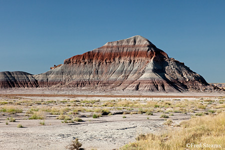 Petrified Forest National Park The Tepees